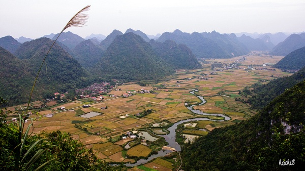 Những d&ograve;ng suối đẹp duy&ecirc;n d&aacute;ng ở T&acirc;y Bắc